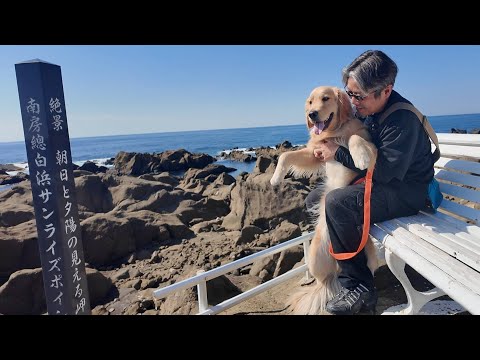 君と一緒に生きる喜びを噛みしめる。何でこんなに素晴らしいんだろう。【Golden Retriever japan】