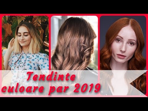 Video: Calendar Lunar De Tunsori și Colorare Pentru Noiembrie