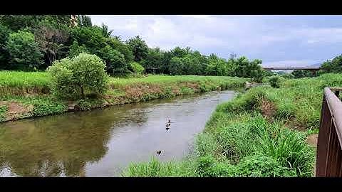 Thumbnail of 초원(김영동 작곡)-파차이 리코더 트럼펫 연주