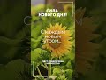 Цитата дня. Нейросети для сетевиков. #shorts