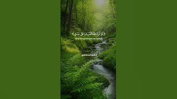 لو أُنزل هذا القرآن على جبل.. تلاوة تهز القلب للشيخ المنشاوي📖