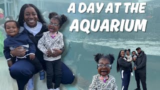 MY TODDLERS FAVORITE PLACE IN SEATTLE: EXPLORING THE SEATTLE AQUARIUM| MEDICAL NEEDS|MAMA OF TWO