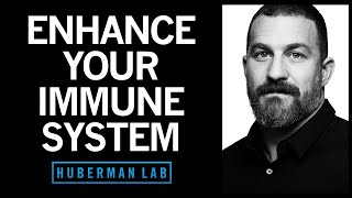 Using Your Nervous System to Enhance Your Immune System | Huberman Lab Podcast #44