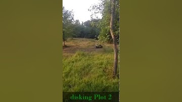 Fall Food plot Part #1