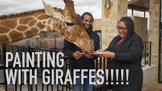Painting with Giraffes in Texas