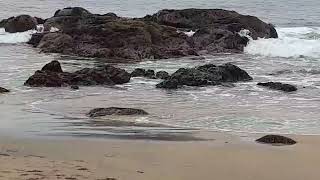 DE VISTA A LA PLAYA EN CONCON REGIÓN DE VALPARAISO EN CHILE 🇨🇱 @magnoliatorresvlogs