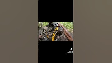 FULL SENDS #fullsend #canam #outlander