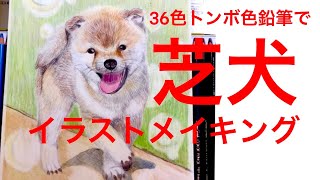 【色鉛筆】36色トンボ色鉛筆で芝犬の色塗りメイキング