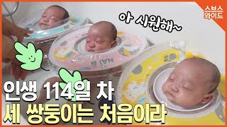 1Kg 미숙아로 태어난 세 쌍둥이 로아, 로이, 로운이의 육아전쟁