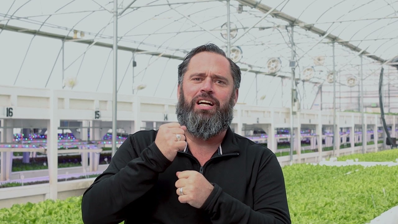 Deep Water Culture DTS Video