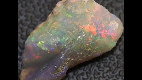 6.1 cts Australian Opal Rough Lightning Ridge Wood Fossil Polished Specimen