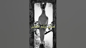 سورة التکاثر Surah At-Takathur #سوره #beautifulsurah #قرآن