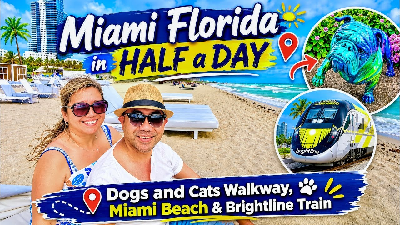 Miami Florida in Half a Day | Miami Beach, Dogs & Cats Walkway + Brightline