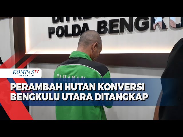 Perambah Hutan Konversi di Bengkulu Utara Ditangkap class=