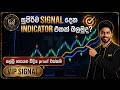 සුපිරිම SIGNAL දෙන Trading Indicator එක! | VIP SIGNAL Strategy Sinhala | INDICATOR EP 02