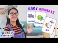 Kiddos World TV: Baby Animals Quiz