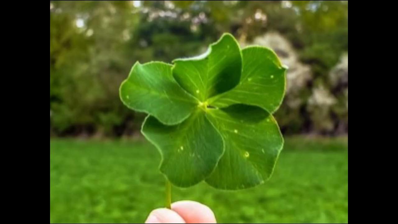 May You Always Be Full Of Luck YouTube may-you-always-be-full-of-luck-youtube