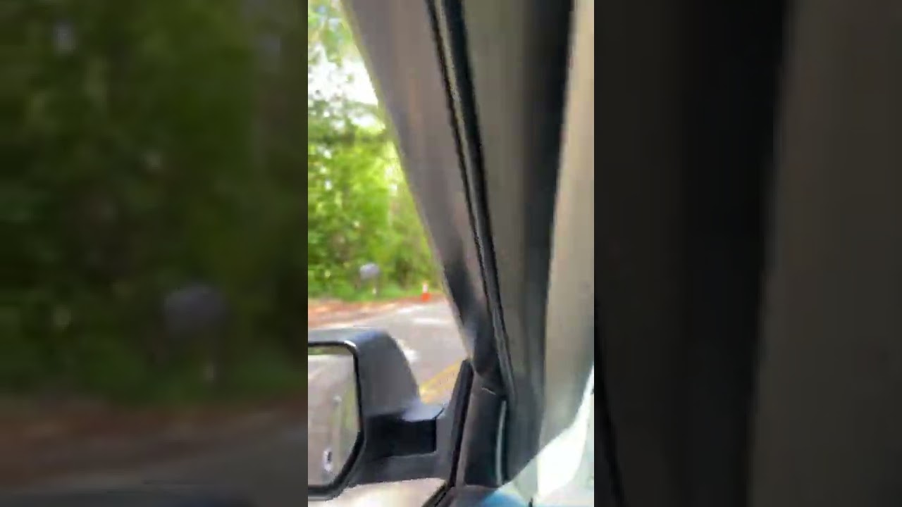 RANDOM Stray PEACOCK on the road in Northern California