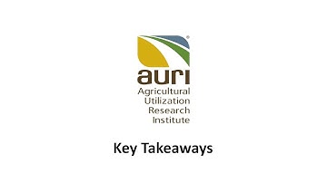 Food Pricing Innovation: Key Takeaways in Building a Pricing Strategy