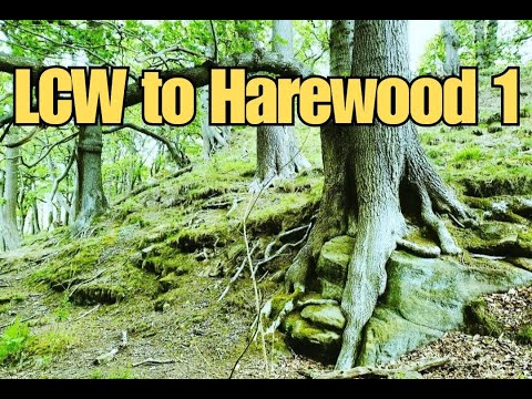 A Rainy Walk Through Hetchell Woods and Bardsey: Exploring the Leeds Country Way