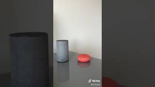 Alexa Wants Ice-Cream