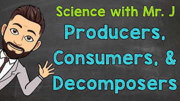 Producers, Consumers, and Decomposers | Ecosystems