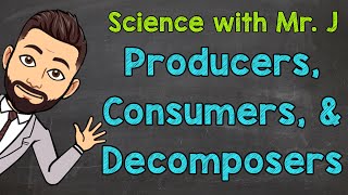 Producers, Consumers, and Decomposers | Ecosystems