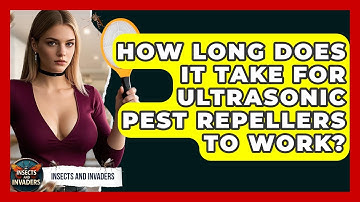 How Long Does It Take For Ultrasonic Pest Repellers To Work? - Insects and Invaders