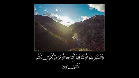 سورة النحل(وَلَا تَشْتَرُوا بِعَهْدِ اللَّهِ ثَمَنًا قَلِيلًا ۚ إِنَّمَا عِندَ اللَّهِ هُوَخَيْرٌلكم