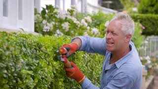 The Garden Gurus - Ground Level Pruning