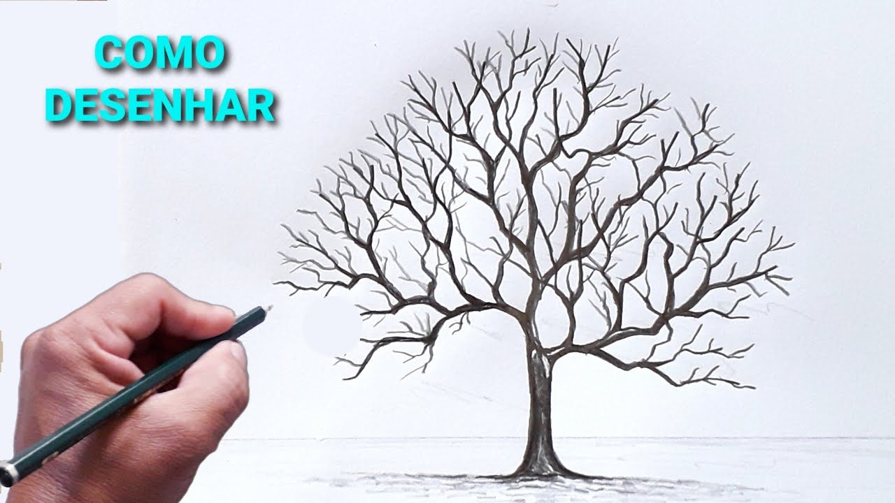 Como desenhar uma Árvore Realista - Passo a Passo 