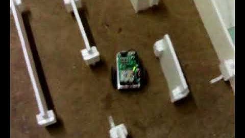 Maze Navigation (Artificial Immune Algorithm)