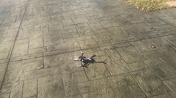 Strix Binary F10 test hover Win 5S