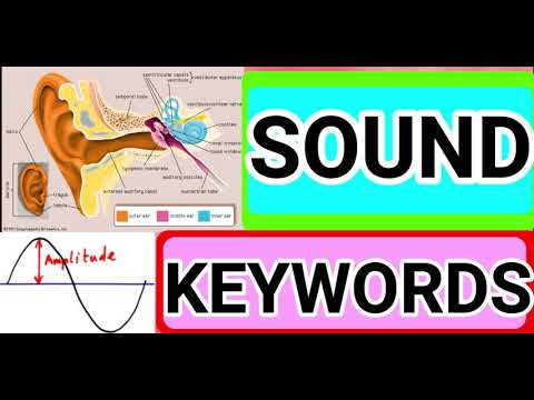 CLASS 8 SCIENCE CHAPTER 13 SOUND KEYWORDS - YouTube