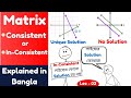 Lec - 03 | Consistent & Inconsistent Linear Systems | Unique & Infinite Solutions Explained Bangla!