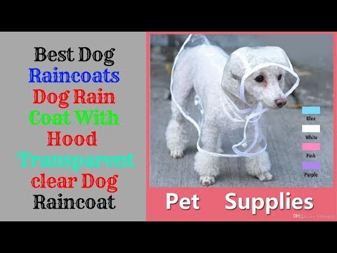 best-dog-raincoats-||-dog-rain-coat-with-hood-||-transparent-clear-dog-raincoat-2019