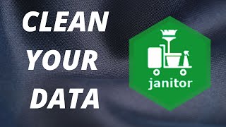 R package reviews | janitor | clean your data!