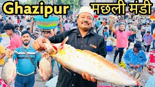 Ghazipur Fish Mandi Delhi Today Price 2025 Ghazipur Machli Mandi Wholesale Ghazipur Fish Market Near