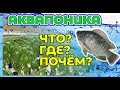 АКВАПОНИКА. ТЕПЛИЦА НА РЫБНОЙ ФЕРМЕ