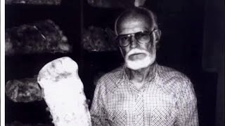 Bigfoot: Real Creature or Clever Hoax Exploring the Evidence