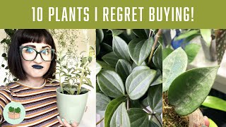 10 HOUSEPLANTS I REGRET BUYING!  Realistic Plant Care