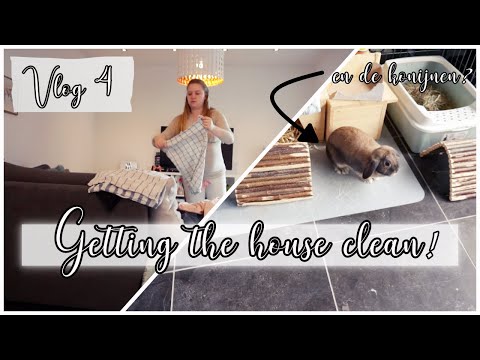 GETTING THE HOUSE CLEAN & DE KONIJNEN SCHOONMAKEN! 🧹 l Vlog 4 deel 2 l MICHELLE GETTING THE HOUSE CLEAN & DE KONIJNEN SCHOONMAKEN! 🧹 l Vlog 4 deel 2 l MICHELLE