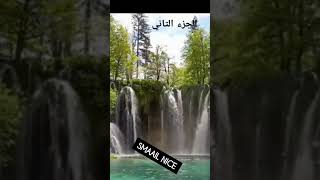 السعودية المغرب فلسطين