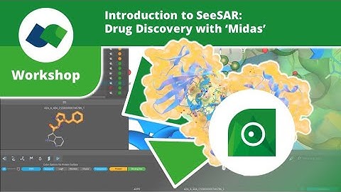 Introduction to SeeSAR: Drug Discovery with ‘Midas’