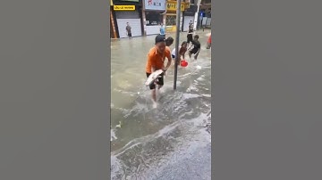 người dân bắt cá mè to ngoài đường và cái kết #fishing #cauca