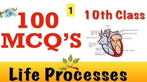 Science Chapter-6 Life Process MCQs Class 10th (Explain in Hindi) #term1exammcq