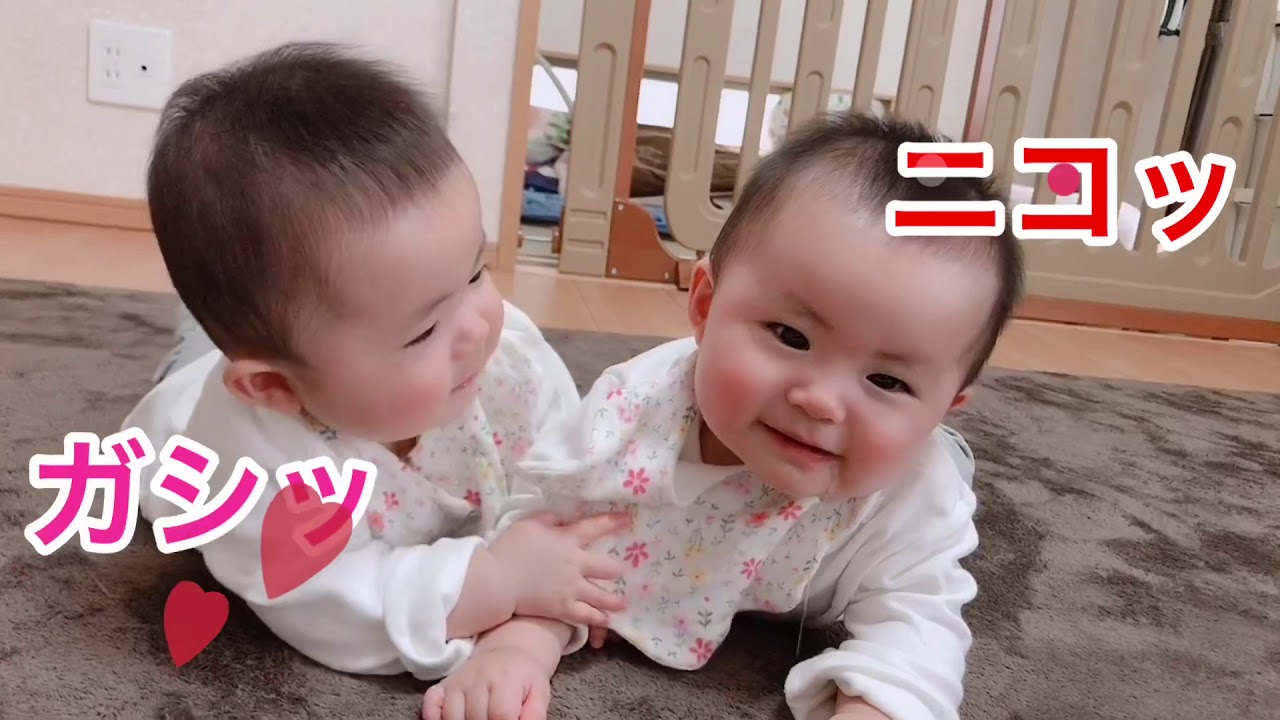はづ ゆづ双子赤ちゃん可愛い癒し動画 Youtube