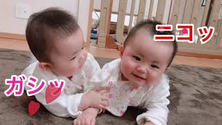 はづ ゆづ双子赤ちゃん可愛い癒し動画 Youtube はづ ゆづ双子赤ちゃん可愛い癒し動画 Youtube