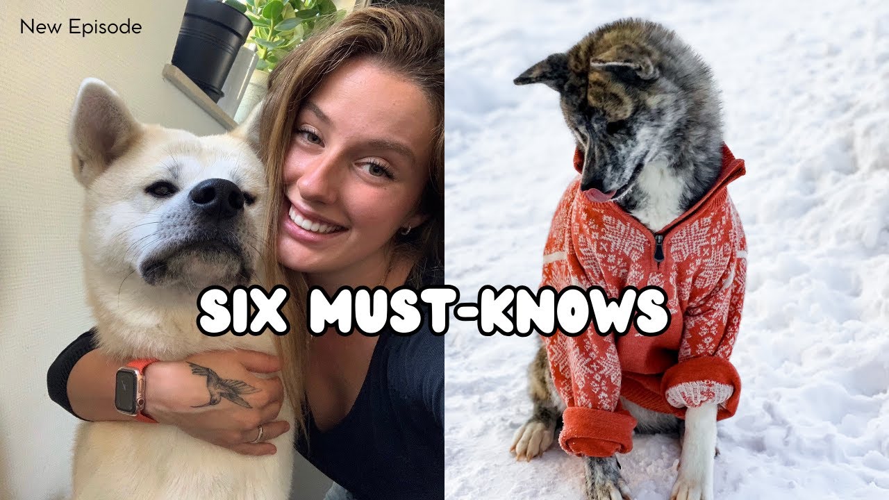 Six lesser-known facts about the Akita Inu🐕