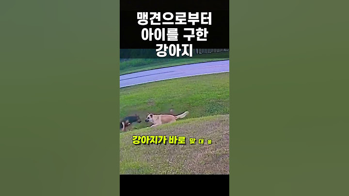 맹견으로부터 아이를 보호하는 강아지 #shorts